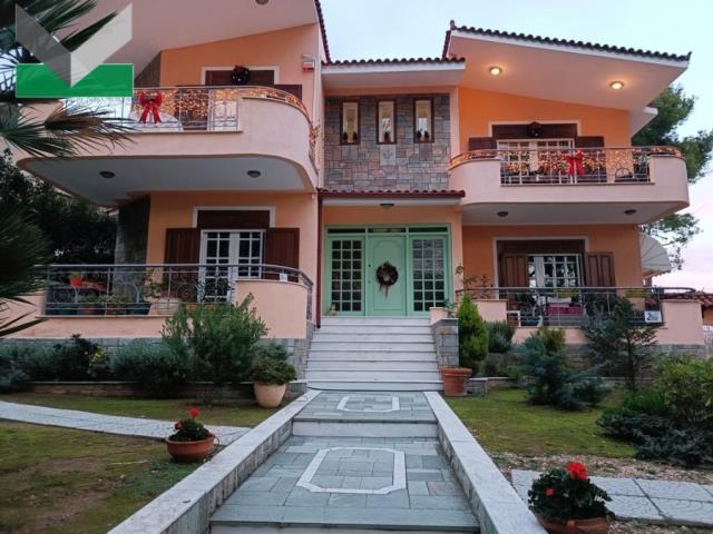 (Προς Πώληση) Κατοικία Μονοκατοικία || Ανατολική Αττική/Θρακομακεδόνες - 520 τ.μ, 8 Υ/Δ, 700.000€ 
