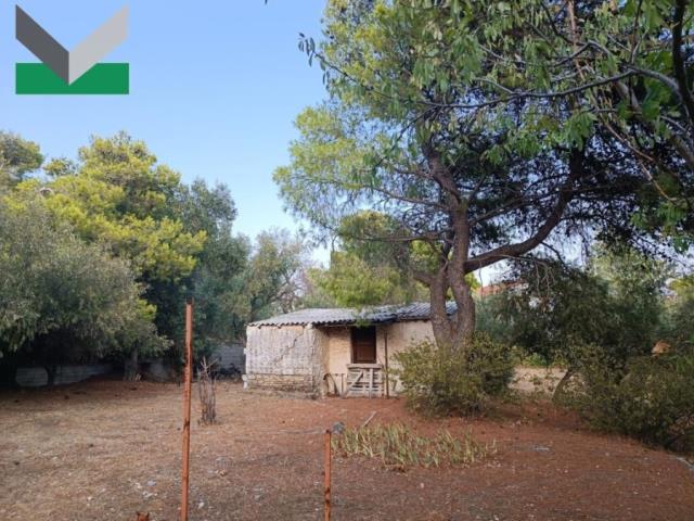 (For Sale) Land Plot || East Attica/Thrakomakedones - 1.059 Sq.m, 350.000€ 