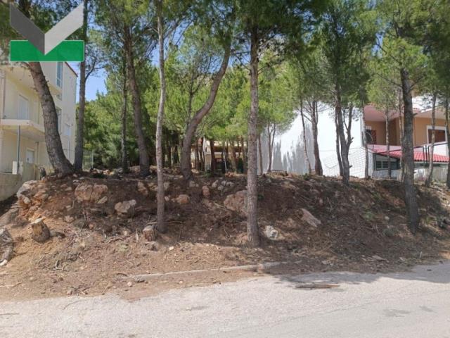 (Προς Πώληση) Αξιοποιήσιμη Γη Οικόπεδο || Ανατολική Αττική/Θρακομακεδόνες - 515 τ.μ, 180.000€ 