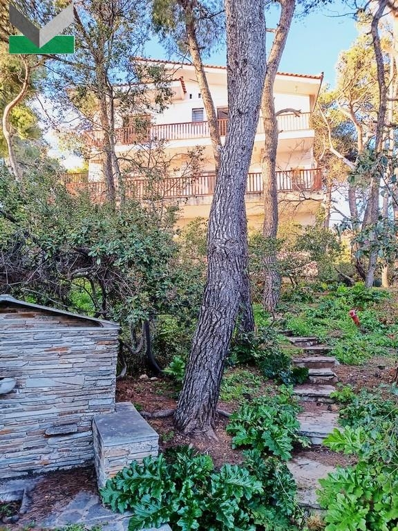 (Προς Πώληση) Κατοικία Μονοκατοικία || Ανατολική Αττική/Θρακομακεδόνες - 370 τ.μ, 6 Υ/Δ, 350.000€ 