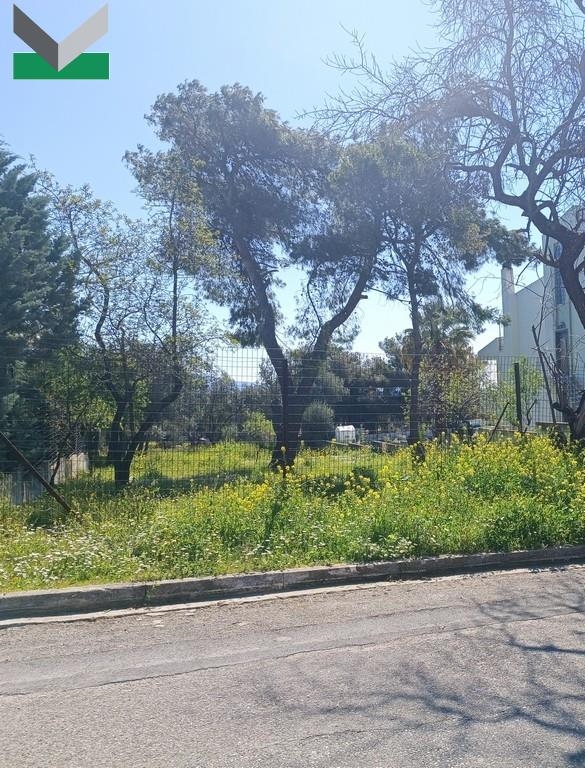 (Προς Πώληση) Αξιοποιήσιμη Γη Οικόπεδο || Ανατολική Αττική/Θρακομακεδόνες - 1.000 τ.μ, 270.000€ 
