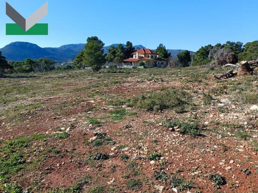 (Προς Πώληση) Αξιοποιήσιμη Γη Οικόπεδο || Ανατολική Αττική/Αφίδνες (Κιούρκα) - 2.000 τ.μ, 220.000€ 