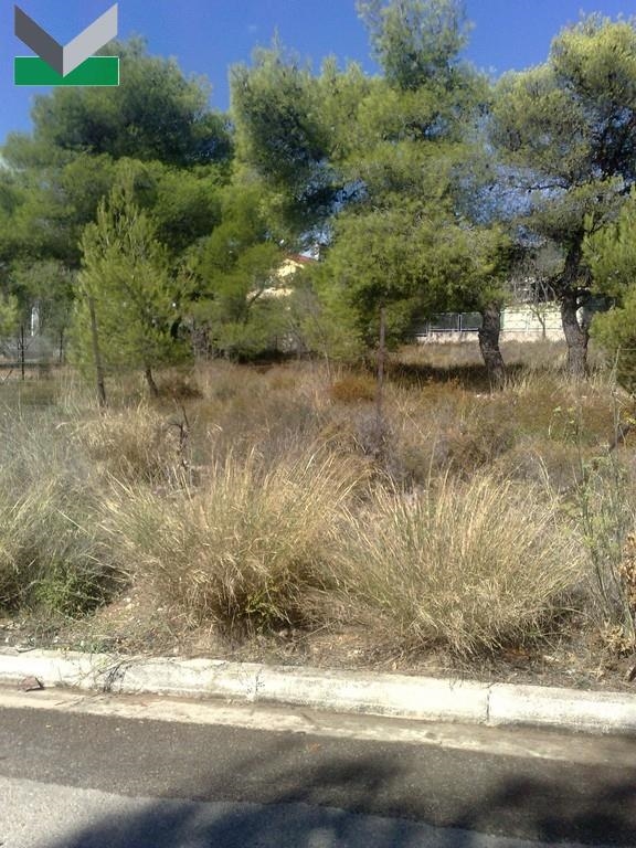 (Προς Πώληση) Αξιοποιήσιμη Γη Οικόπεδο || Ανατολική Αττική/Θρακομακεδόνες - 500 τ.μ, 135.000€ 