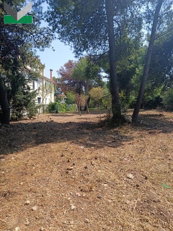(For Sale) Land Plot || East Attica/Thrakomakedones - 1.010 Sq.m, 250.000€ 