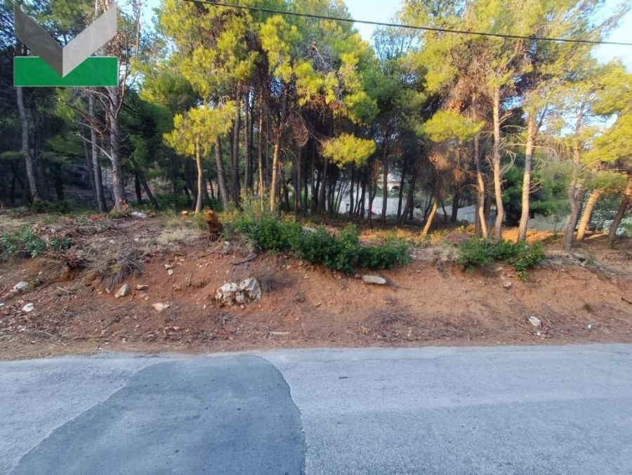 (Προς Πώληση) Αξιοποιήσιμη Γη Οικόπεδο || Ανατολική Αττική/Θρακομακεδόνες - 502 τ.μ, 190.000€ 