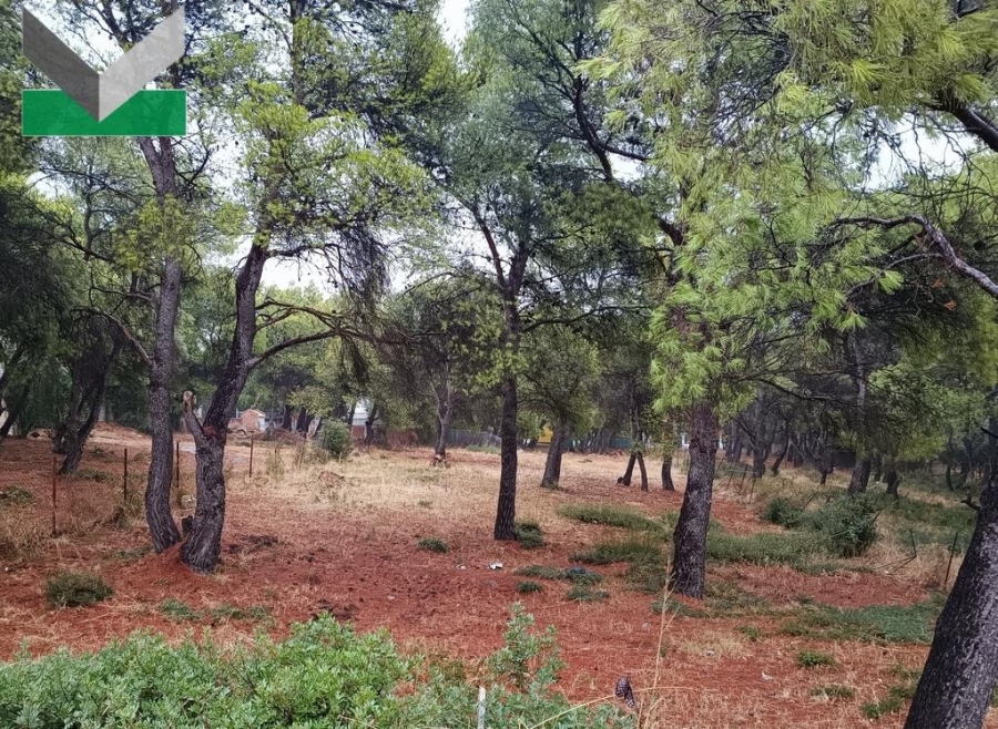 (Προς Πώληση) Αξιοποιήσιμη Γη Οικόπεδο || Ανατολική Αττική/Θρακομακεδόνες - 1.000 τ.μ, 250.000€ 