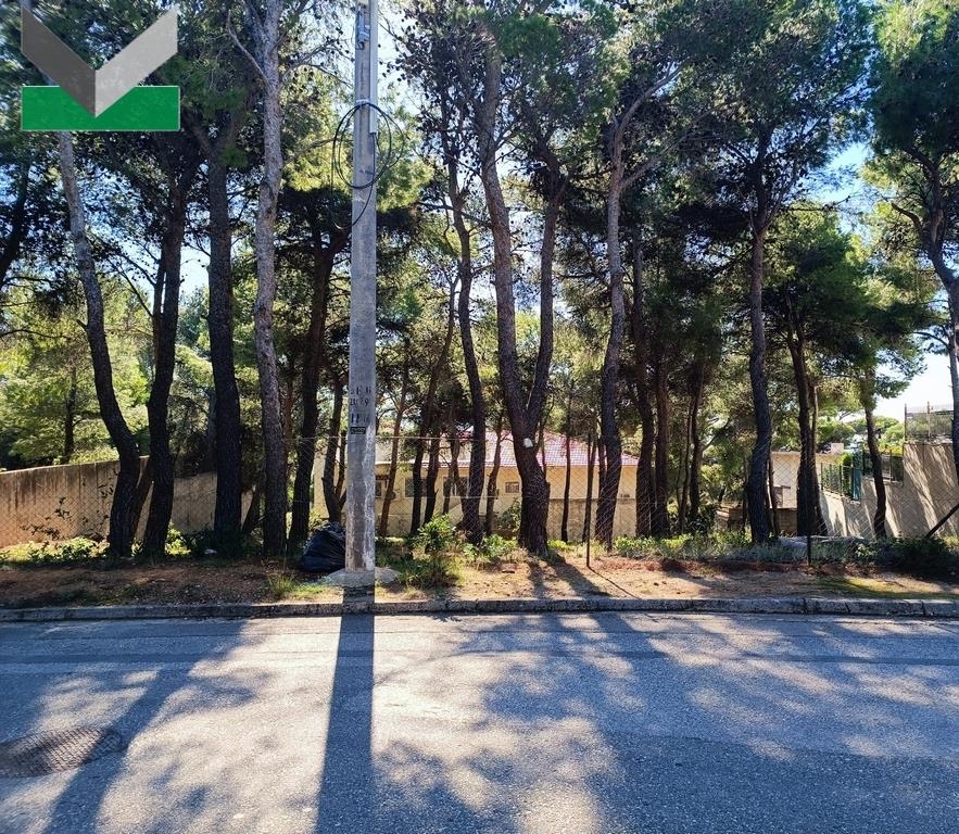 (Προς Πώληση) Αξιοποιήσιμη Γη Οικόπεδο || Ανατολική Αττική/Θρακομακεδόνες - 1.035 τ.μ, 290.000€ 