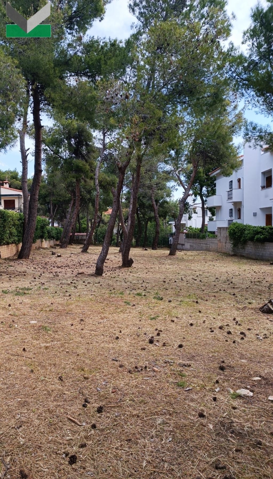 (For Sale) Land Plot || East Attica/Thrakomakedones - 1.010 Sq.m, 280.000€ 