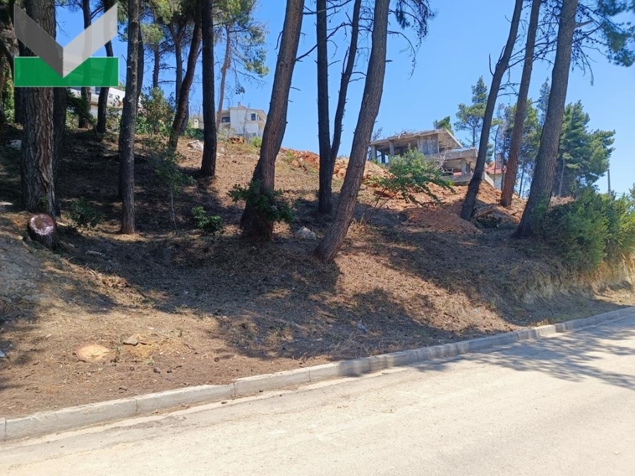 (For Sale) Land Plot || East Attica/Thrakomakedones - 1.010 Sq.m, 270.000€ 