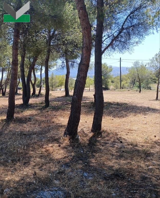 (For Sale) Land Plot || East Attica/Thrakomakedones - 508 Sq.m, 190.000€ 