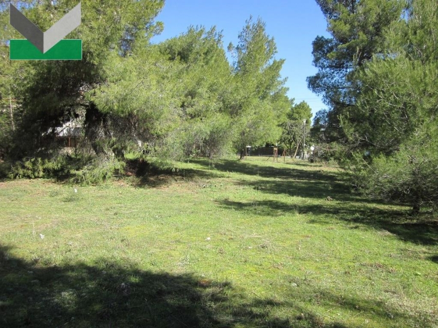 (Προς Πώληση) Αξιοποιήσιμη Γη Οικόπεδο || Ανατολική Αττική/Θρακομακεδόνες - 1.002 τ.μ, 350.000€ 