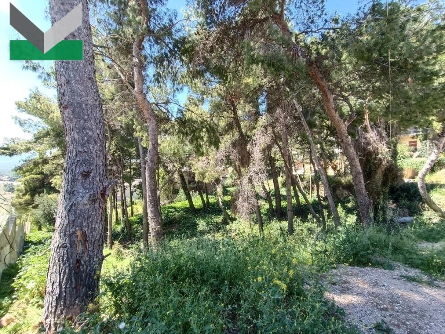 (For Sale) Land Plot || East Attica/Thrakomakedones - 1.206 Sq.m, 210.000€ 