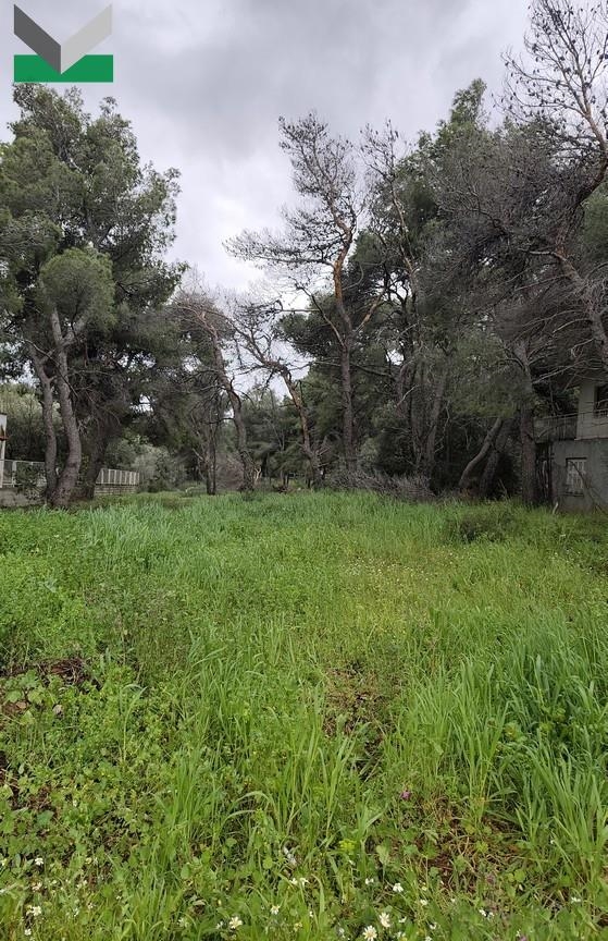 (Προς Πώληση) Αξιοποιήσιμη Γη Οικόπεδο || Ανατολική Αττική/Θρακομακεδόνες - 1.010 τ.μ, 360.000€ 