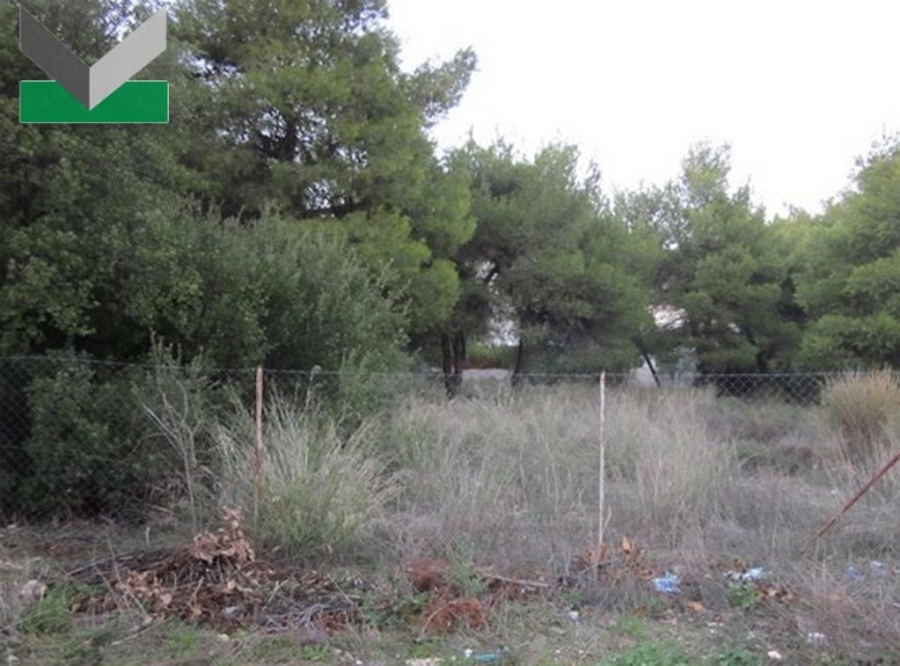 (For Sale) Land Plot || East Attica/Thrakomakedones - 1.006 Sq.m, 370.000€ 