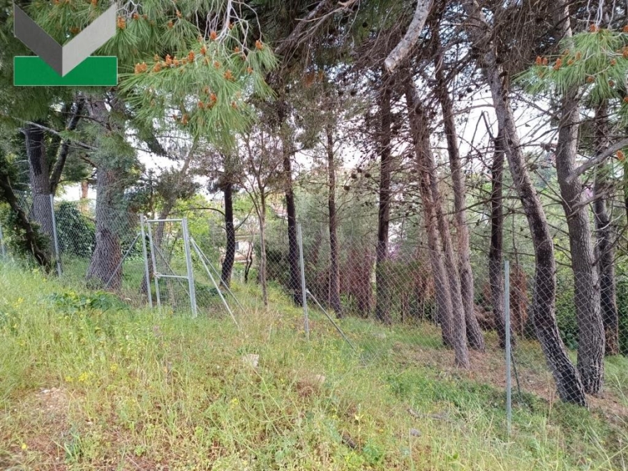 (Προς Πώληση) Αξιοποιήσιμη Γη Οικόπεδο || Ανατολική Αττική/Θρακομακεδόνες - 1.006 τ.μ, 120.000€ 