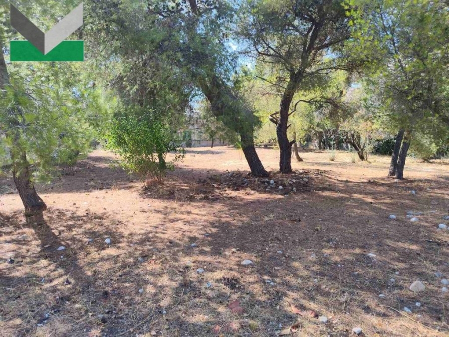 (Προς Πώληση) Αξιοποιήσιμη Γη Οικόπεδο || Ανατολική Αττική/Θρακομακεδόνες - 1.007 τ.μ, 350.000€ 