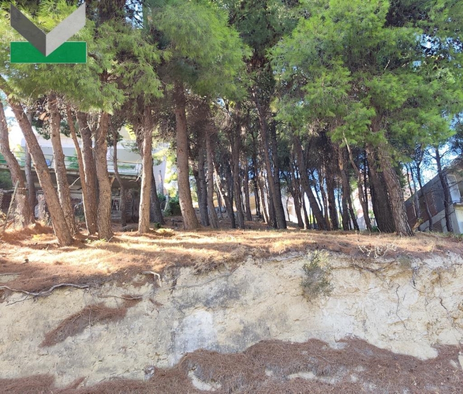 (Προς Πώληση) Αξιοποιήσιμη Γη Οικόπεδο || Ανατολική Αττική/Θρακομακεδόνες - 1.006 τ.μ, 230.000€ 