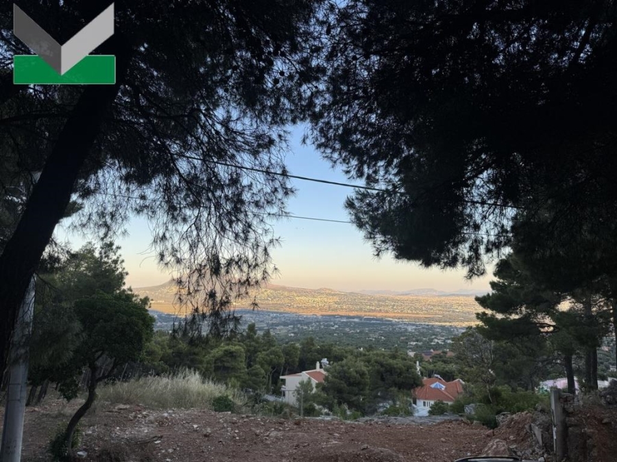 (For Sale) Land Plot || East Attica/Thrakomakedones - 1.025 Sq.m, 320.000€ 