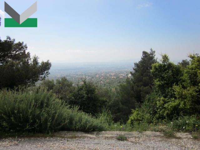 (Προς Πώληση) Αξιοποιήσιμη Γη Οικόπεδο || Ανατολική Αττική/Θρακομακεδόνες - 1.010 τ.μ, 180.000€ 