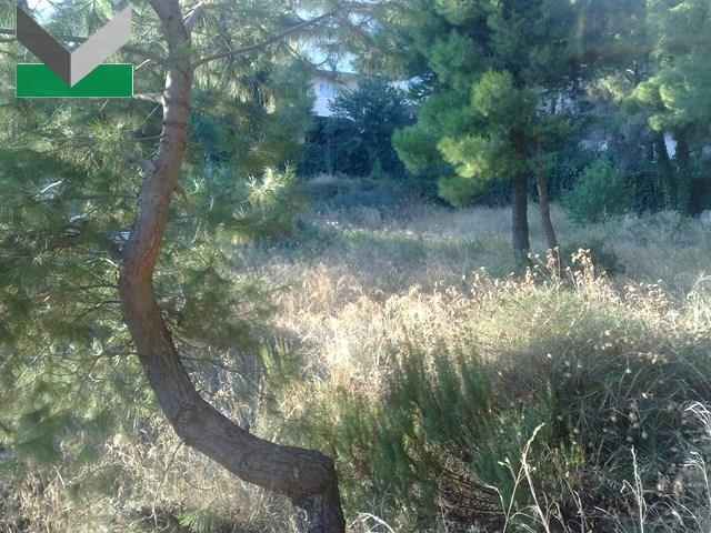 (Προς Πώληση) Αξιοποιήσιμη Γη Οικόπεδο || Ανατολική Αττική/Θρακομακεδόνες - 1.010 τ.μ, 180.000€ 
