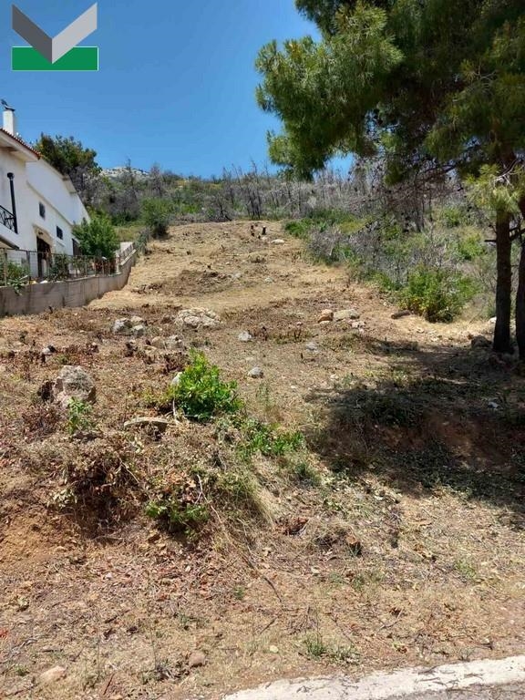 (Προς Πώληση) Αξιοποιήσιμη Γη Οικόπεδο || Ανατολική Αττική/Θρακομακεδόνες - 1.182 τ.μ, 150.000€ 